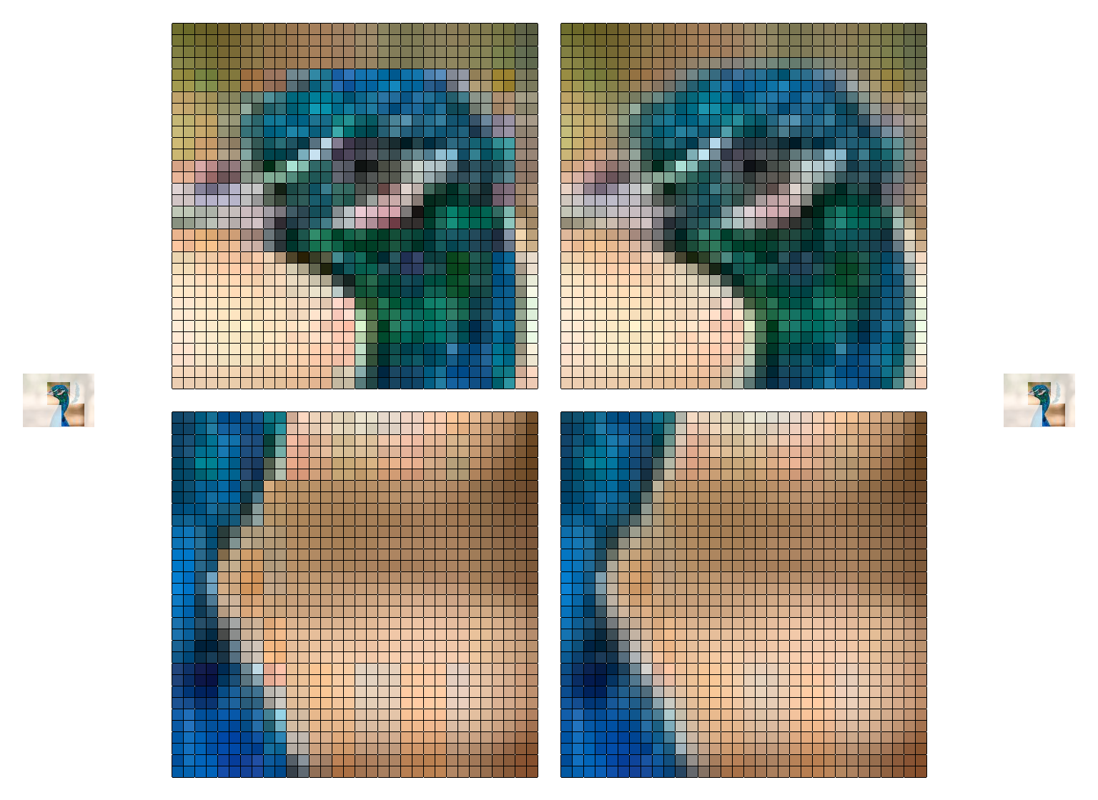 Peacock (comparison)